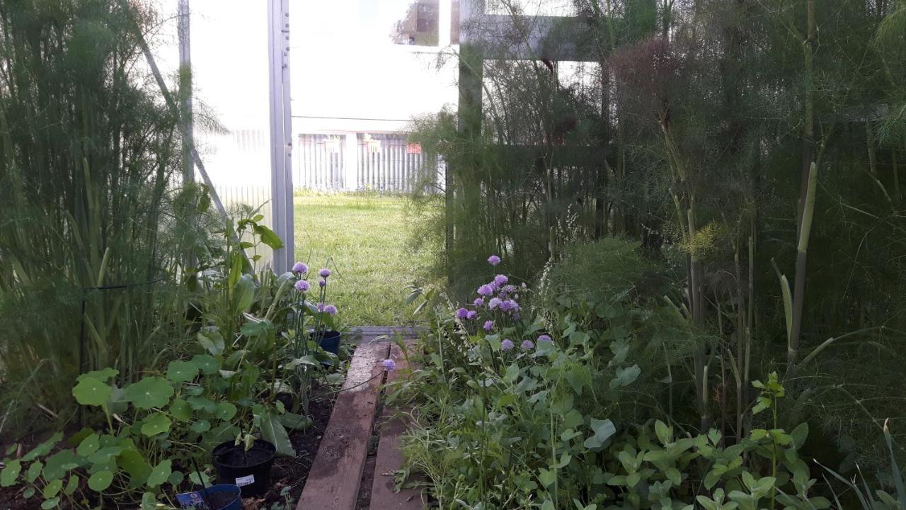 Hostel Στράλσουντ Εξωτερικό φωτογραφία